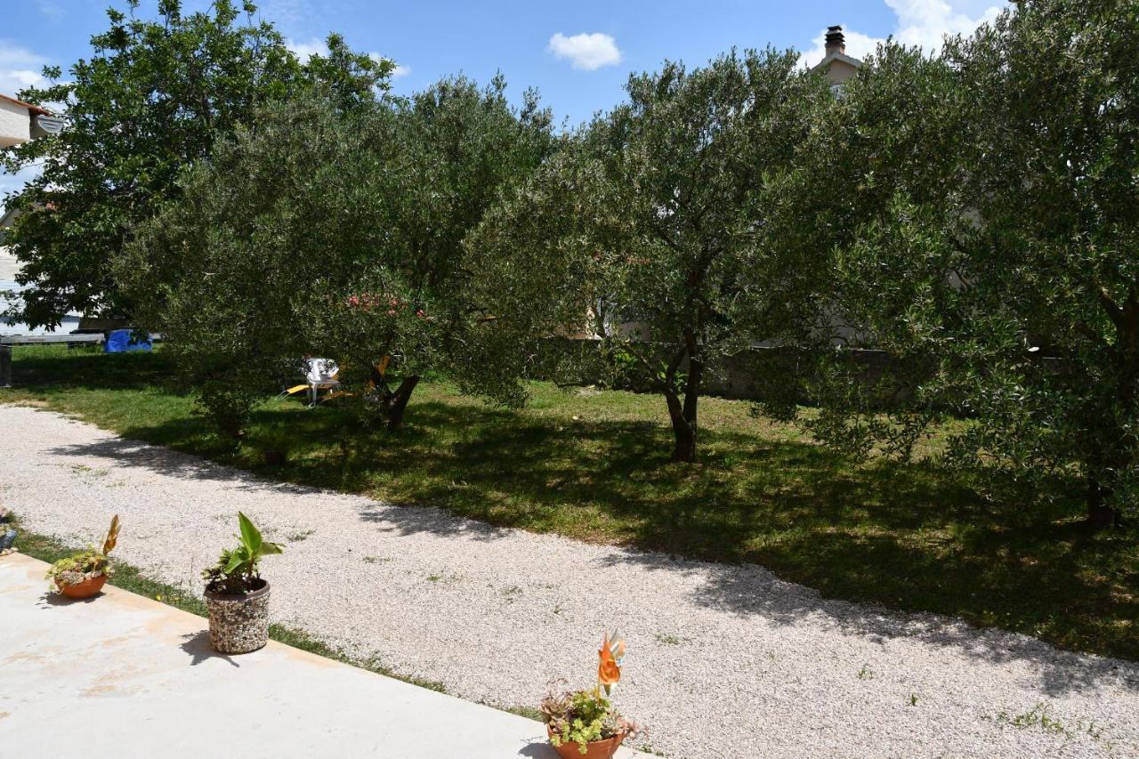 Apartmani Joja Biograd Na Moru Zewnętrze zdjęcie