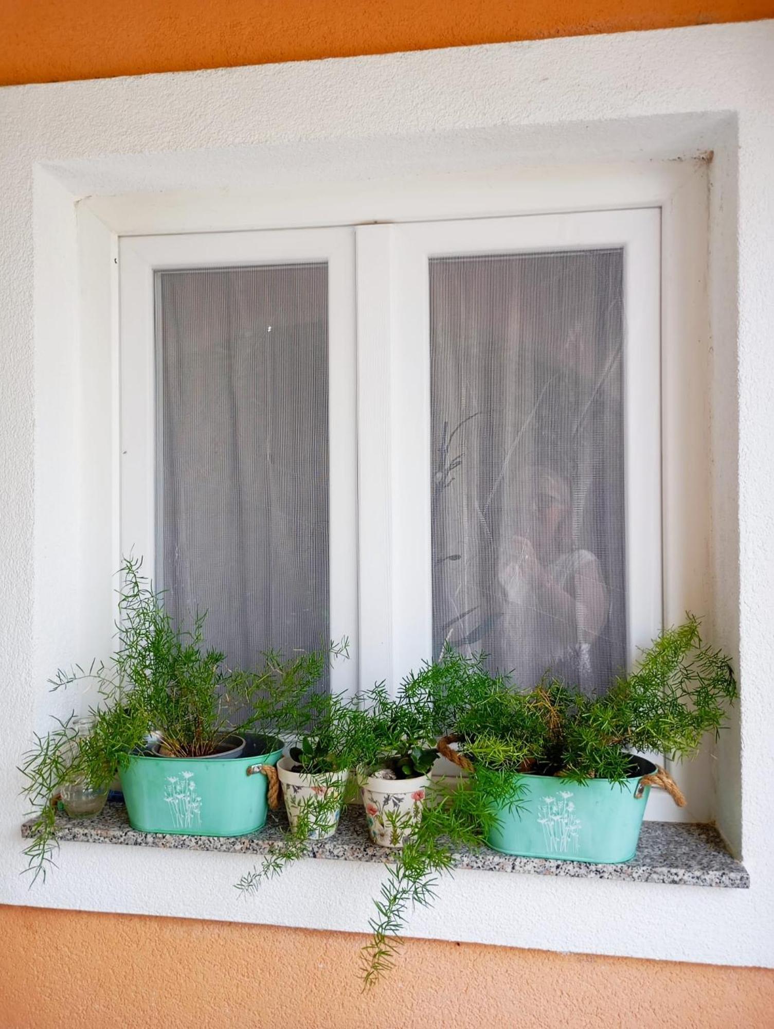 Apartmani Joja Biograd Na Moru Zewnętrze zdjęcie