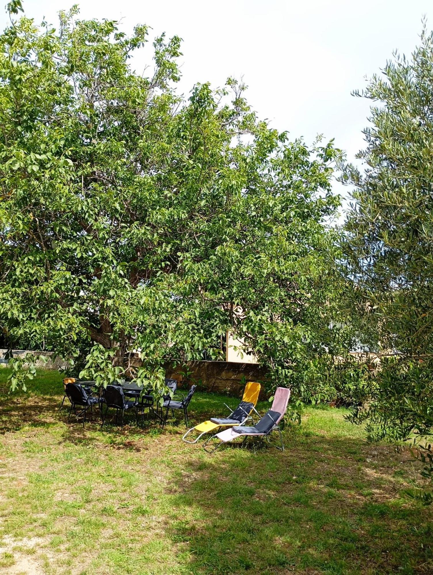 Apartmani Joja Biograd Na Moru Zewnętrze zdjęcie